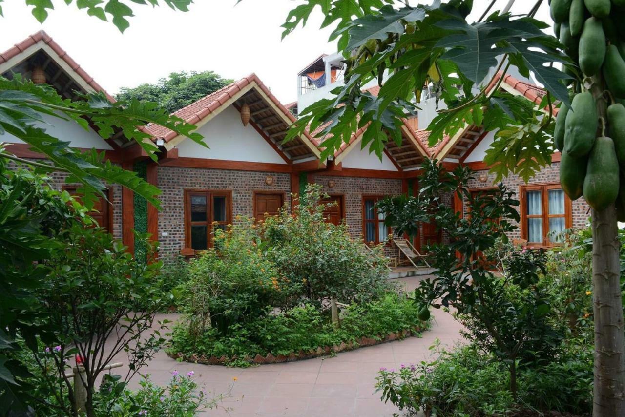 Tam Coc Cozy Homestay Ninh Binh Esterno foto